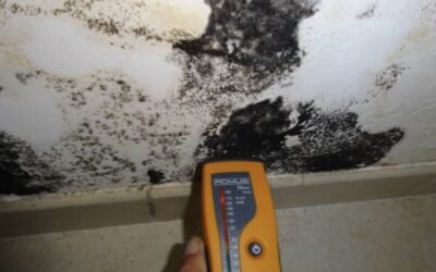 Votre maison à Reims est humide ? Bénéficiez de l’accompagnement d’un expert.