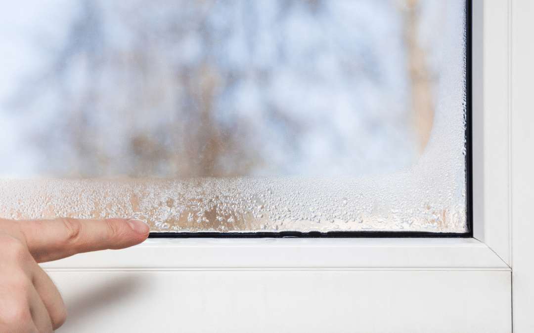 Humidité maison appartement Reims