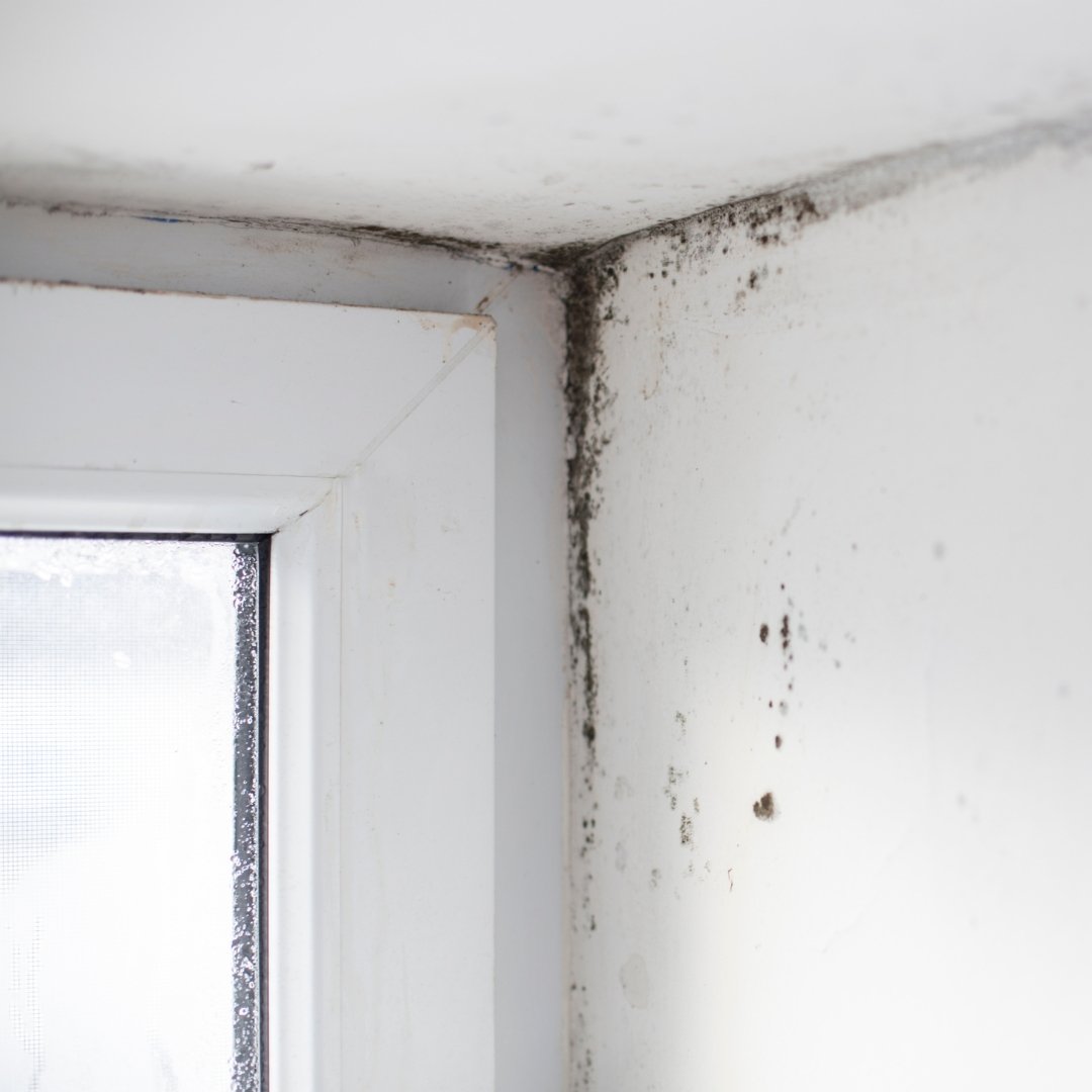 Expertise technique maison appartement Troyes