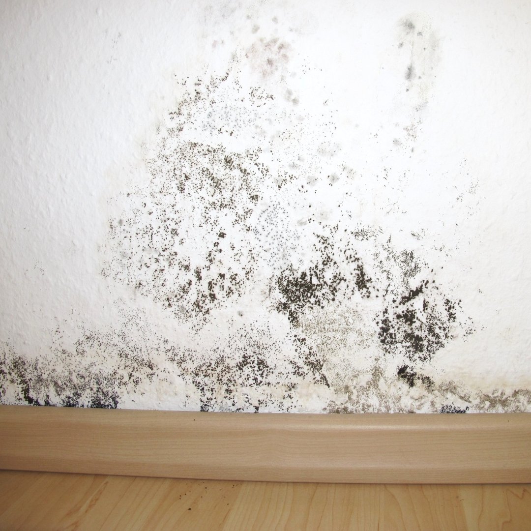 Expert bâtiment humidité Vitry-le-François