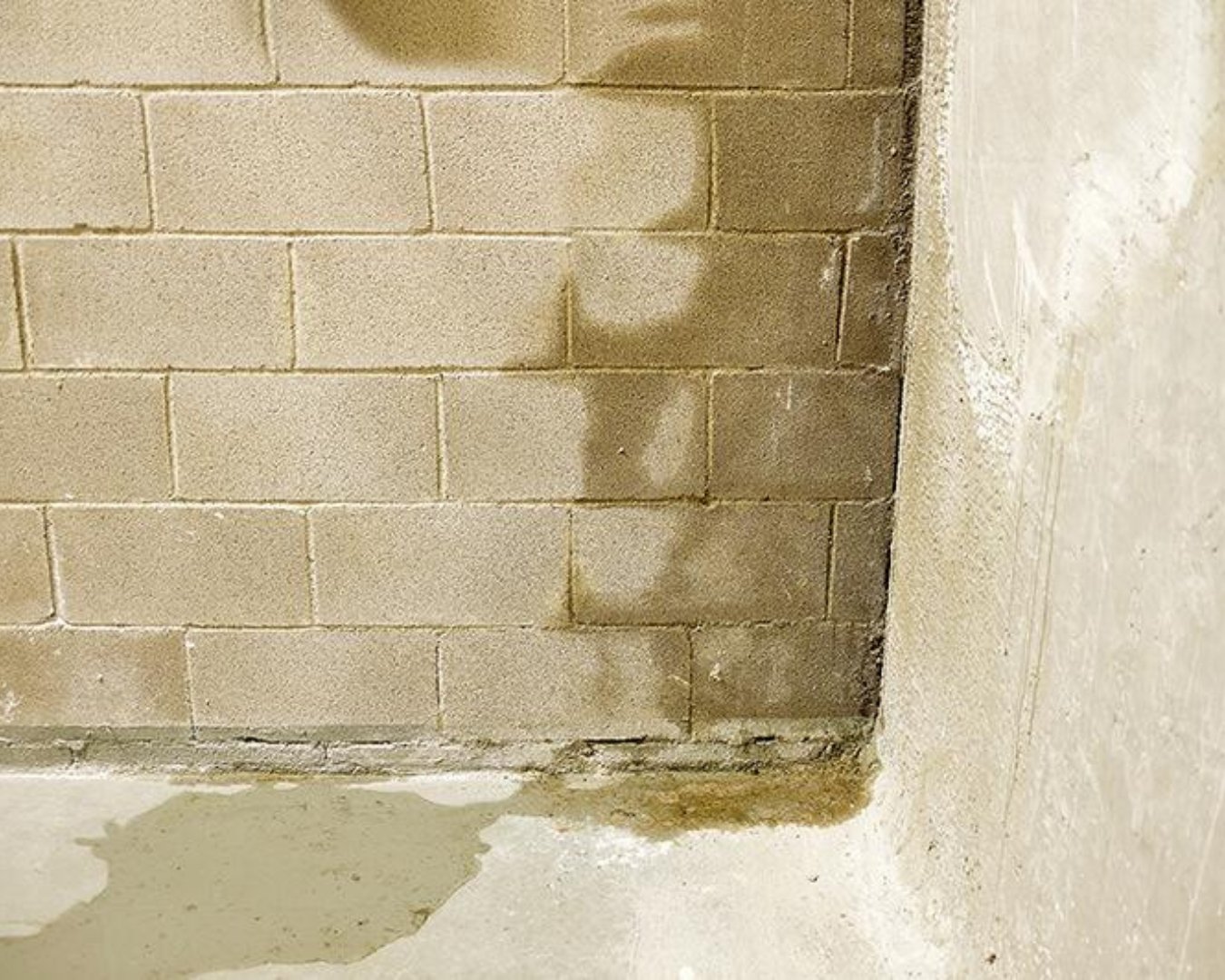 Expert bâtiment indépendant cave Melun