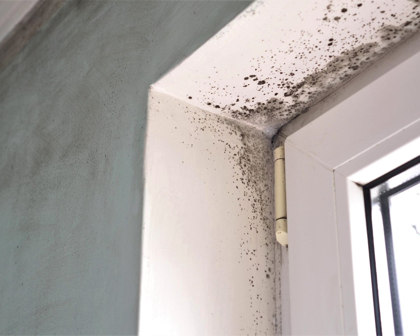 Expert bâtiment humidité infiltration Château-Thierry