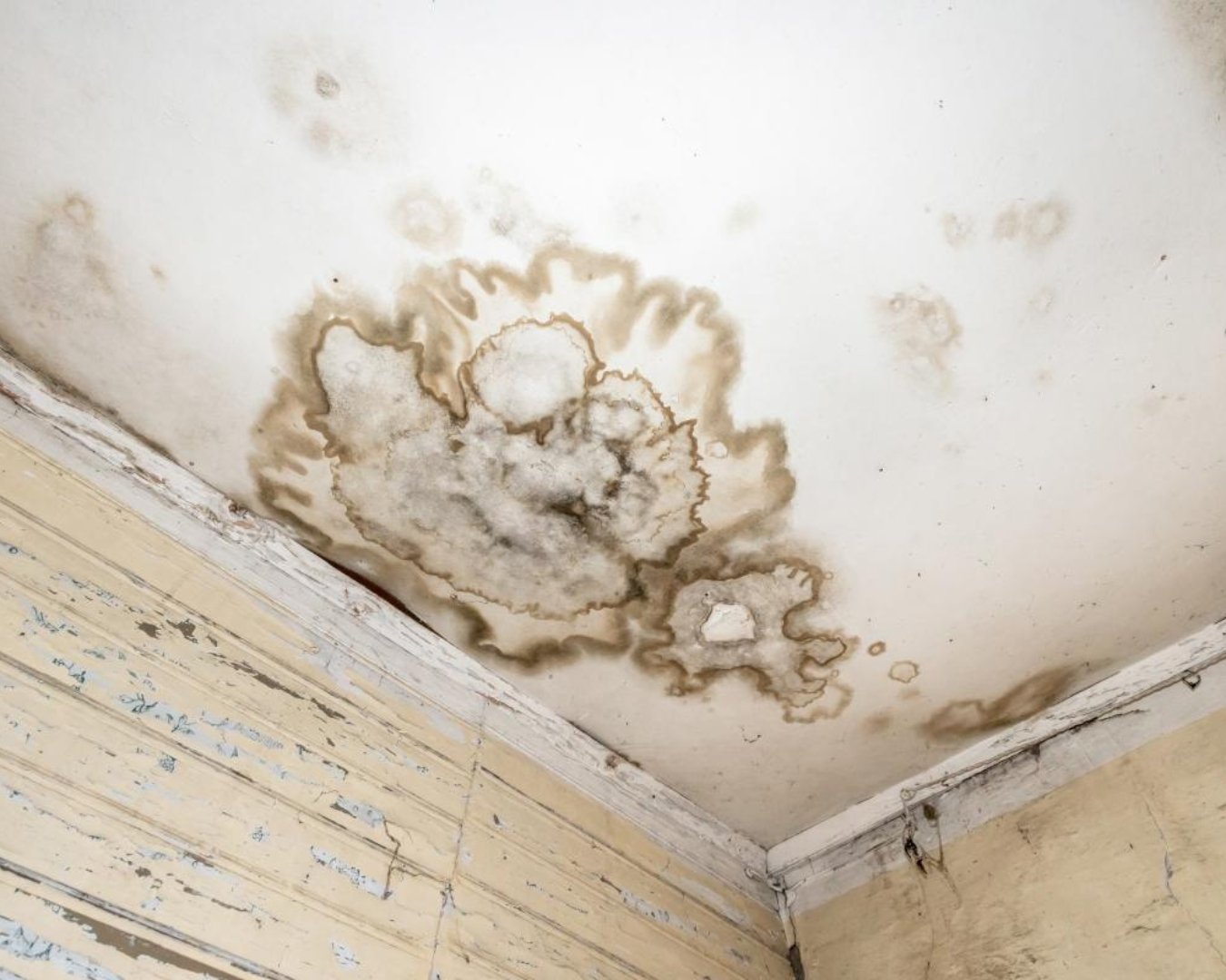 Expert bâtiment infiltration humidité Melun