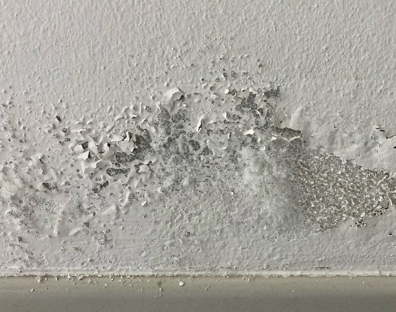 Expert fissure humidité Compiègne