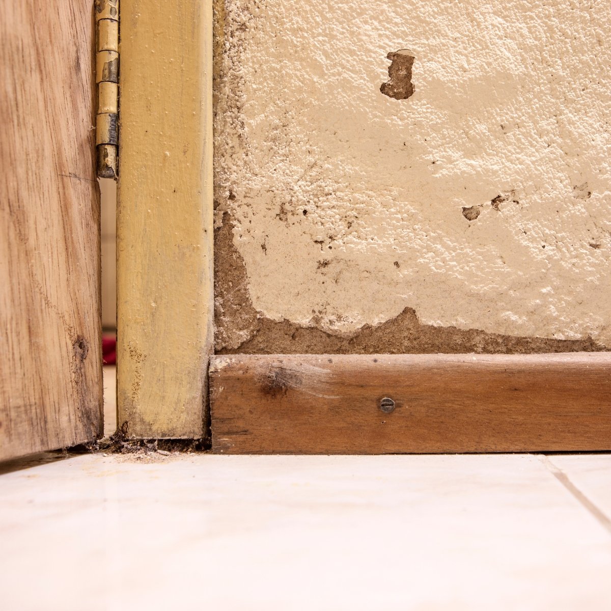 Expert bâtiment diagnostic fissure humidité mur Epernay