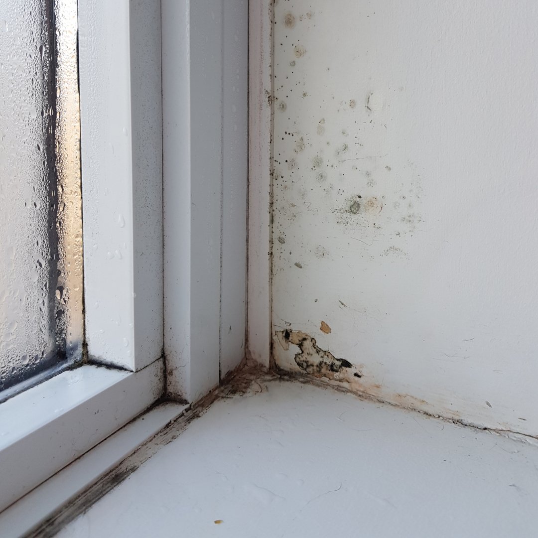 infiltration humidité fenêtre expert bâtiment Chaumont