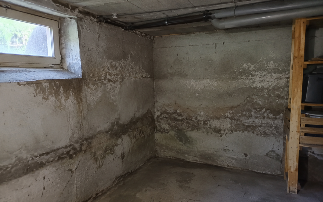 cave crayère puit humidité maison Reims